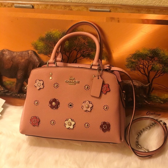 Coach Handbags - Daisy Appliqué Lilly Carry All Leather Satchel